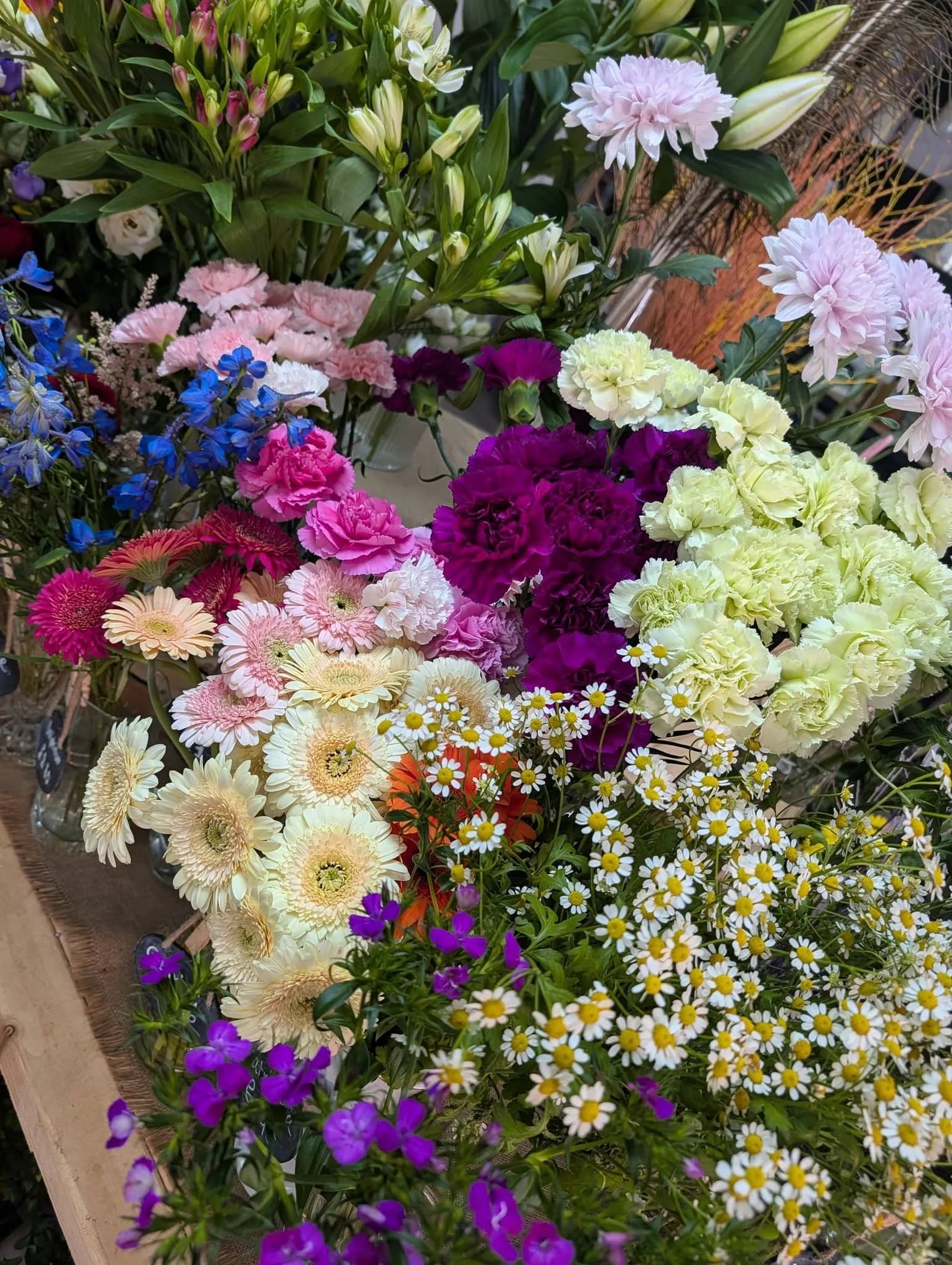 Colourful fresh flower stems at Floral Curiosity