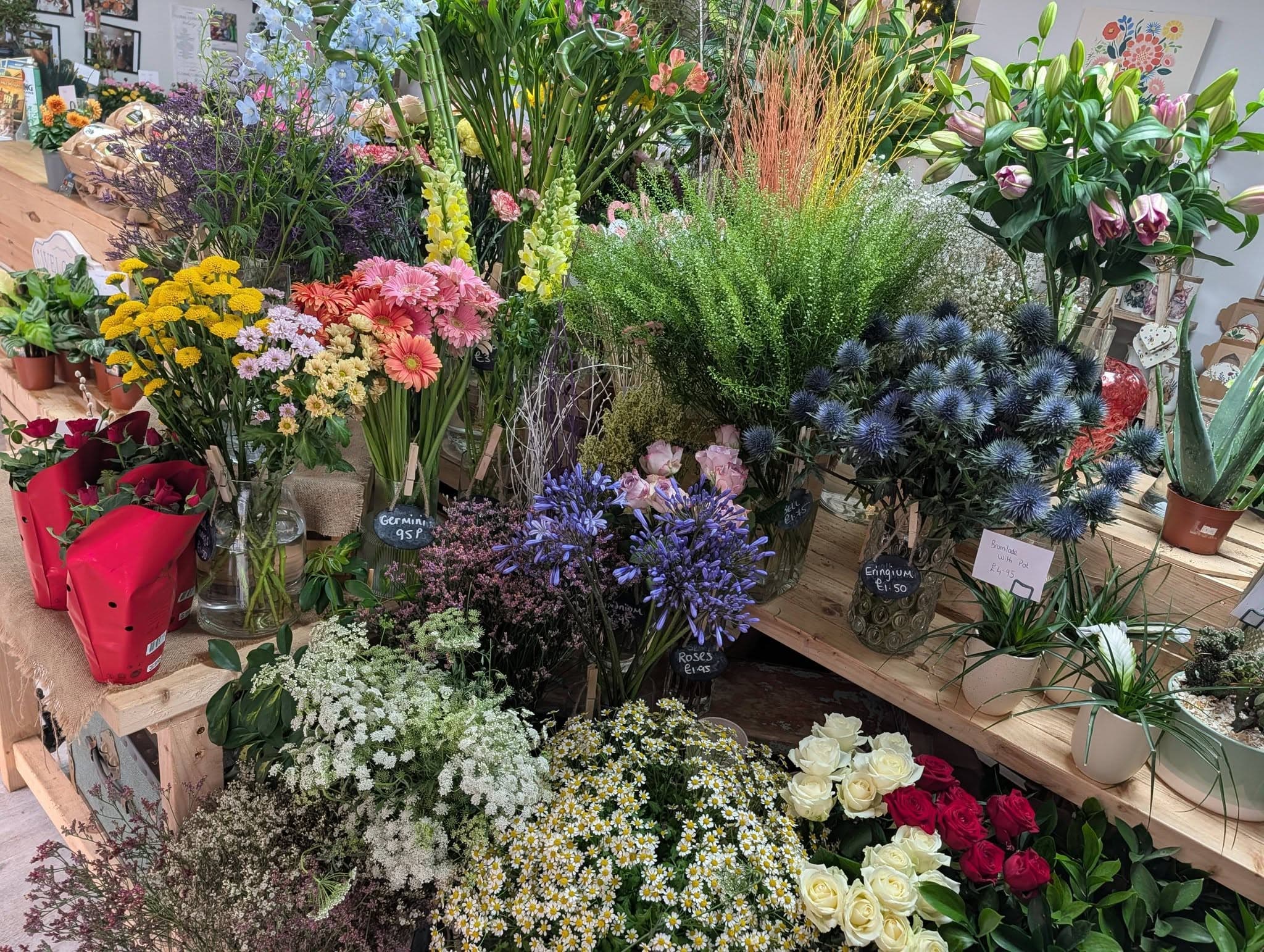 A colourful selection of fresh flower stems inside Floral Curiosity