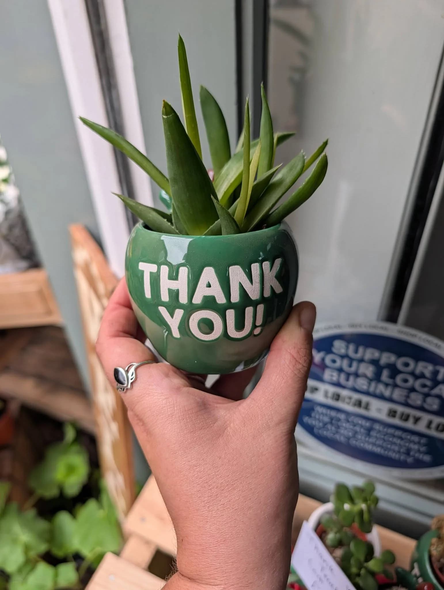 A colourful flowering plant prepared as a thank-you gift